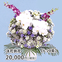 洋花供花 Y-20紫